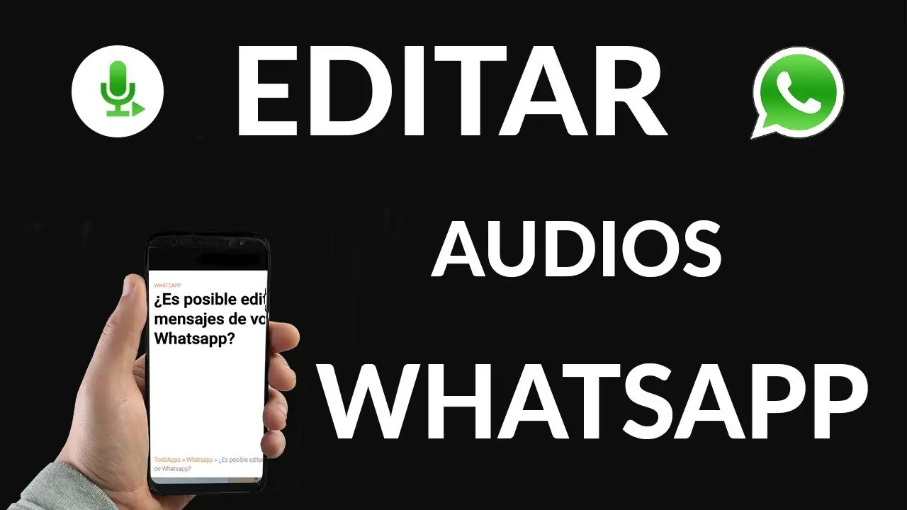 Como Editar Audio De WhatsApp ComoHow