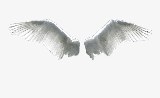 hacer alas para volar