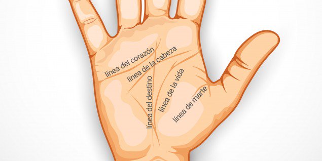 leer la mano
