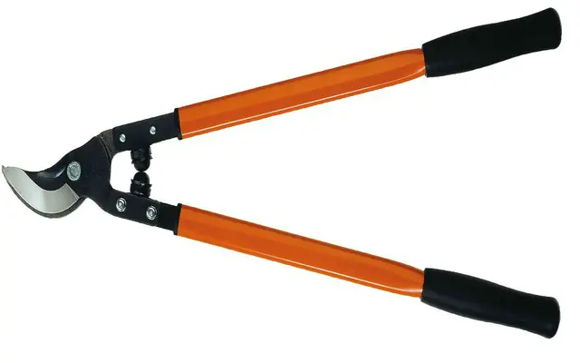 afilar tijeras de podar