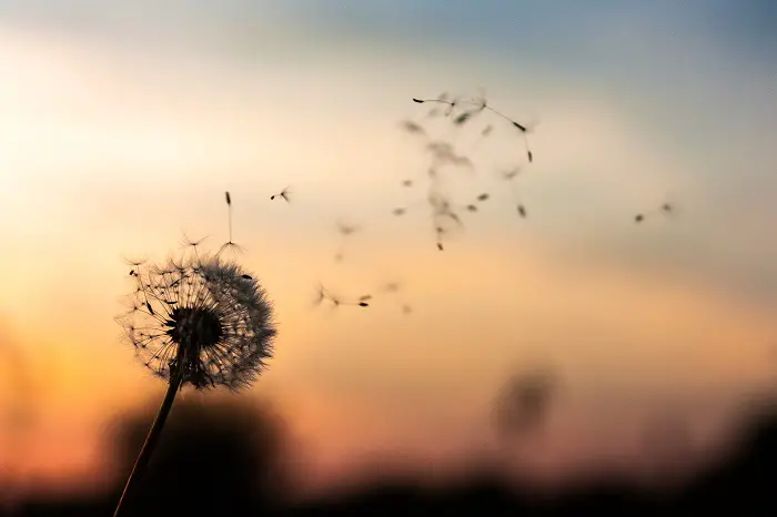 Frases motivadoras que te harán seguir adelante