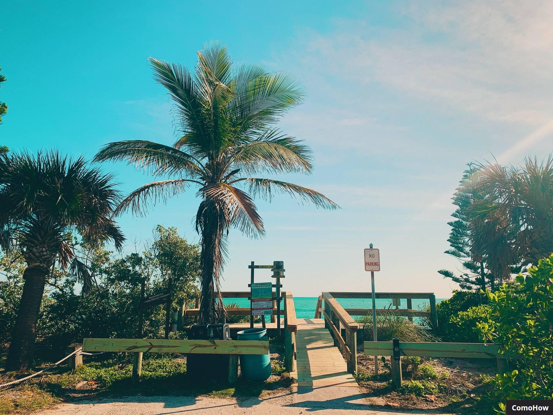 10 mejores resorts familiares en Florida