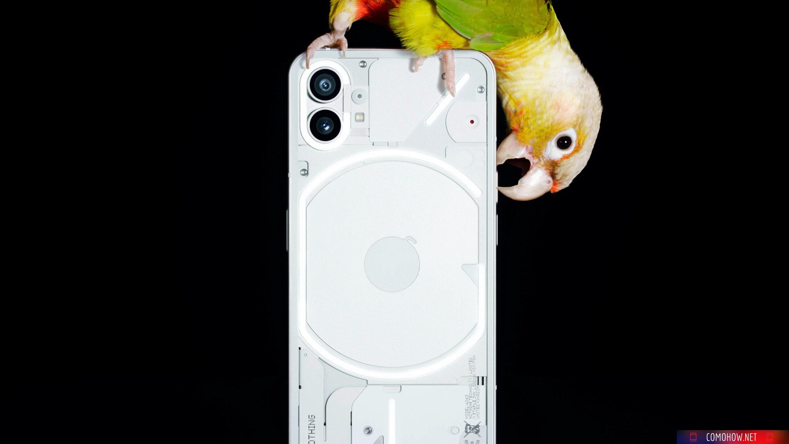 Procesador Nothing Phone (1) y disponibilidad solo por invitación revelada