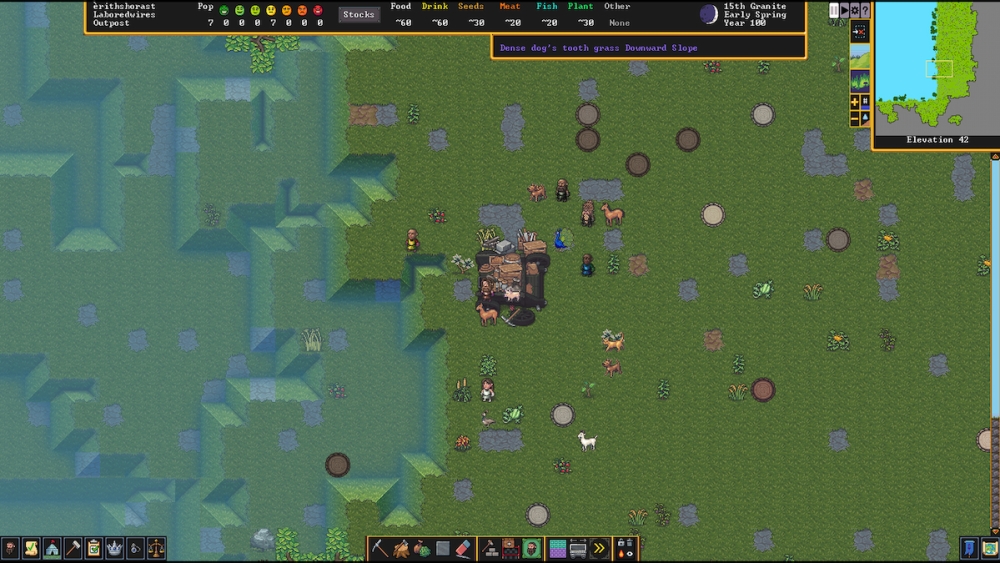 Captura de pantalla de Dwarf Fortress: iniciando la caravana